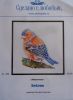 finch.thumb.jpg.157bdc1aa500615b74819ba7623142aa.jpg