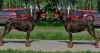 scale_1200.thumb.png.1df61a5d8e1998fd40cb9e3d69930089.png