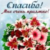 skachat-yarkuyu-otkritku-s-nadpisyu-spasibo_orig.thumb.jpg.d13ad448243925fb409e670a8db6677a.jpg