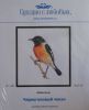 stonechat.thumb.jpg.b58c3b165e79d9e3ee560ee836da5e2c.jpg