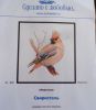 waxwing.thumb.jpg.c7fc1fc10c3aed21dbad7aaa3763c560.jpg