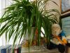 1299029106_.thumb.jpg.ad664cf922eaeed2f5aa09467aed1ab6.jpg