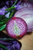 12_0.thumb.jpg.8536b250bd23ba000370a64d92704f49.jpg