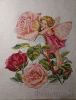 17163_46.thumb.jpg.a4f6dd26d444c34d6a00d0478516ccc8.jpg