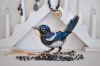 1768283054_DSC_1673-2(1).thumb.JPG.b7ade34be9505aaf5e155c24f25d6844.JPG