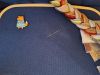 20241117_153636.thumb.jpg.e78cbb540e2d72d58d136e551b620dc8.jpg