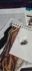 20241202_203132.thumb.jpg.6cb3d24dc559a7065812deb6e6245615.jpg