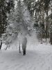 20241208_125713(0).thumb.jpg.fc03ef1180c3e6fb4189f9add01a3879.jpg