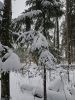 20241208_130305.thumb.jpg.8bd31d3883467b38f4d9fe2af3fdef15.jpg