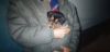 20241211_204848.thumb.jpg.8e06b75c910a181efad29535a34966ff.jpg