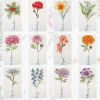 2133088073_BirthMonthFlower1.thumb.jpg.cc0544a8772634fad62585689b776bb4.jpg