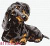 3298.thumb.jpg.6ca1c40dbd7ae04cdf752ad3c603c237.jpg