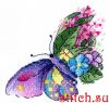 49672.thumb.jpg.40ab2b16b8c9bd55d90f329df6b49dfa.jpg