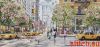 Luca-S BU5049, New York