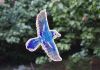 DSC_3149-2.thumb.JPG.f0935041bd136139a3790dbdb56af1fc.JPG