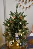 DSC_4110.thumb.JPG.0c47a2aa1f06edeb73b2ddeb4c97f86c.JPG