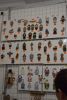 DSC_4112.thumb.JPG.3d14735f1dab8d002c92ae852481e4e9.JPG