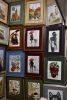 DSC_4123.thumb.JPG.ed961a573f5650cefb7e2e1bf6f9c014.JPG