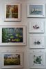 DSC_4157.thumb.JPG.eddb69cfafc605c5bc9e58b5abcf6b35.JPG