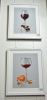 DSC_4163.thumb.JPG.602b652baf4f56b4847226dac373c6d5.JPG