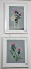 DSC_4171.thumb.JPG.12edf8e471ddffbfcae5c76d75a14d54.JPG