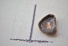 DSC_4523.thumb.JPG.2ad653d5ac384d35b6163dc307453835.JPG