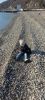 IMG-20241207-WA0071.thumb.jpg.f7a22e3275dac8e5846de5bee57ded90.jpg