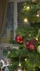 IMG_1434.thumb.jpeg.7e49673e562c2f28fdea140a201afe88.jpeg