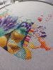 IMG_1616.thumb.jpeg.3e5e31538de69a84b191b582e20eabc1.jpeg
