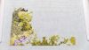 IMG_1649.jpeg