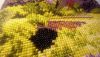 IMG_1656.jpeg
