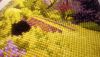 IMG_1657.jpeg
