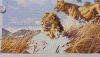IMG_1707.thumb.jpeg.bdf762880c8d9f51ab25f0296baea244.jpeg