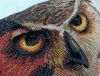 IMG_2007.thumb.jpeg.e61f06486ea62ff8c8f66d83ccbe96c7.jpeg
