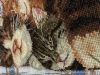 IMG_2011.thumb.jpeg.7b3cf9f5e77fe565a61bcdd6d21c268e.jpeg