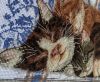 IMG_2012.thumb.jpeg.5348fb3d0aec6e06b44d379064cbf19c.jpeg