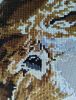 IMG_20241006_142552.thumb.jpg.3c5c4fed2c87127f7a6da7aacca9f57f.jpg