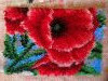 IMG_20241101_122332.thumb.jpg.8b4eea95e6b2acaf445d2f3cced3dc37.jpg?1733148814625