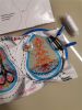 IMG_20241105_192816.thumb.jpg.598dbcac214defb315bcd936a0bef45a.jpg