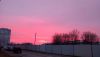 IMG_20241129_083335.thumb.jpg.8cf444e9fc4fc42233e10ac8aecac475.jpg