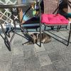 IMG_20241202_125820.thumb.jpg.e93dcb4bb3c9c175334977417ec5114b.jpg