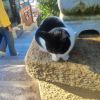 IMG_20241204_124615.thumb.jpg.00e0c4ad6afedee64dfa6cdcf59663c7.jpg
