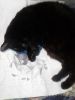 IMG_20241209_011425.thumb.jpg.a8c199c997f0c130c8d999fcdd4b6be6.jpg