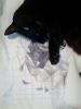 IMG_20241209_011714.thumb.jpg.f1488add0586cda64a8f45d8f8c7ecab.jpg