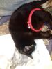 IMG_20241213_174014.thumb.jpg.65509eddc54a68b11fb05be81f7dccfe.jpg
