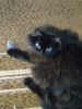 IMG_20241214_194444.thumb.jpg.e99e46c3d19af0ccdf867ce1b1fad14b.jpg