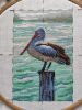 IMG_20241216_134947.thumb.jpg.4c5392e375cf8ff8896cc58e3a5c56b0.jpg