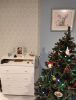IMG_20241223_183743.jpg