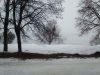 IMG_20241224_141756.thumb.jpg.c5cfc04dfa0924a469715e493d1395c5.jpg