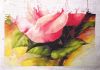IMG_20241228_025911.thumb.jpg.40839344d3bb8aac1cc9ddffe96e7dbe.jpg